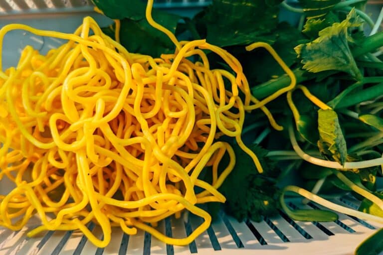 high-protein pasta dishes